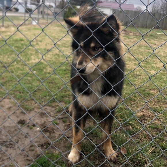 Meet your Posher, Brionna - Picture 1 of 1